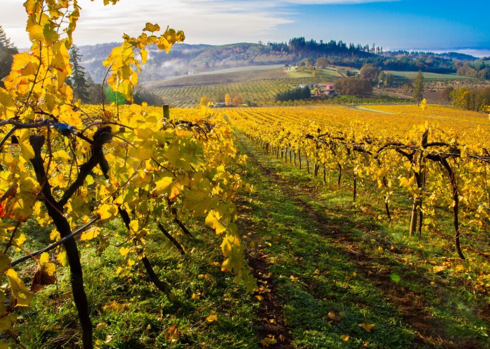 Oregon: Marion